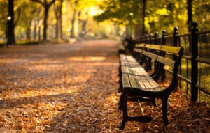 central-park-new-york-autumn